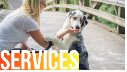Services and Rates from SNIFF OC